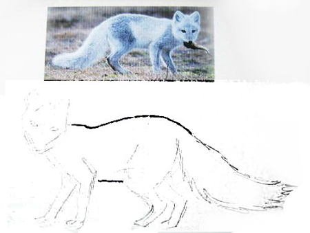 Рисунок лисы карандашом для детей