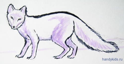 Нарисовать песца карандашом поэтапно для начинающих