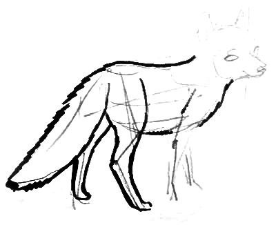 Трафарет песца