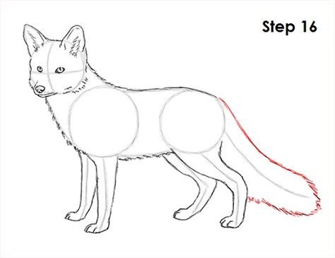 Лисица карандашом