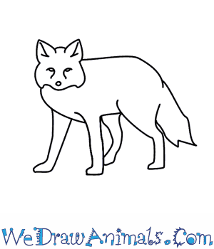 Алгоритм рисования песца