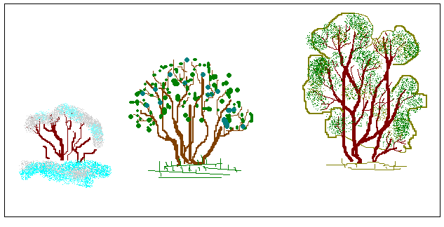 Тест кустики 4 класс с ответами. Кустарник схематичное изображение. Схема кустарника для дошкольников. Куст схематично. Строение дерева и кустарника.