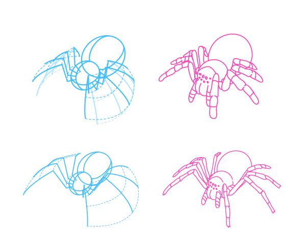 Анатомия паука для рисования