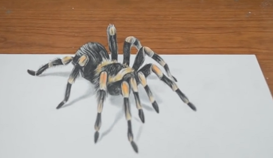 Рисуем тарантула пошагово