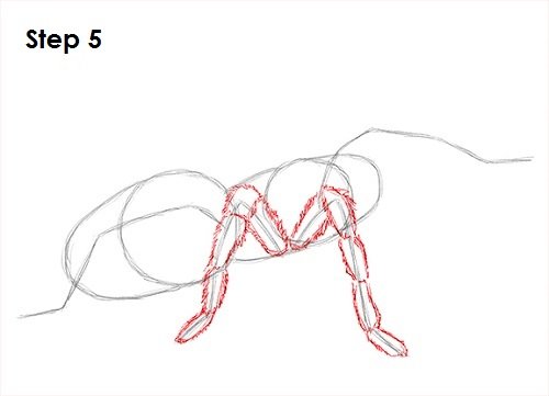 3д паук на бумаге