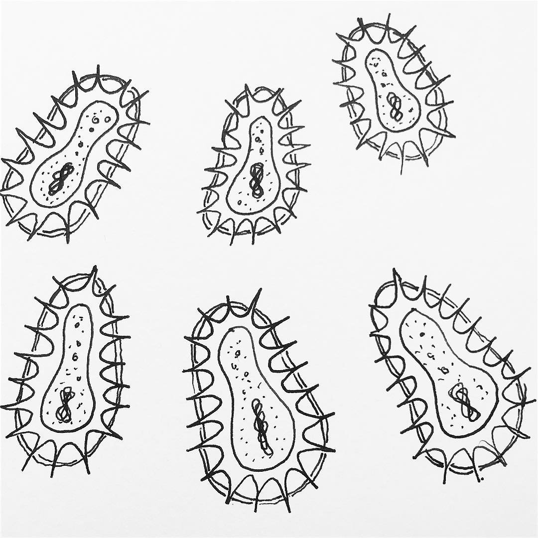 Бактерии рисунок карандашом