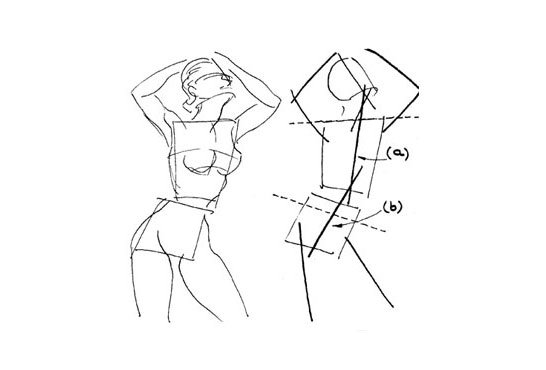 Талия рисунок карандашом поэтапно для начинающих