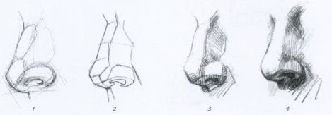 Рисунок нос штрих