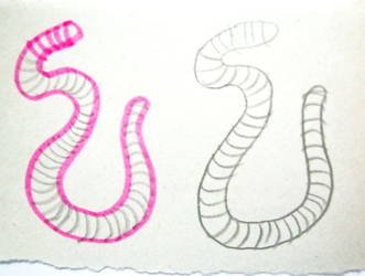 Рисовать червяка поэтапно
