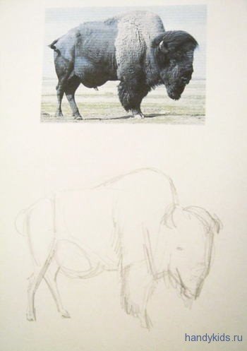 Бизон рисунок красками