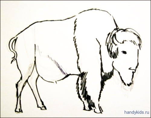 ЗУБР поэтапное рисование