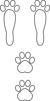 Следы зайчика