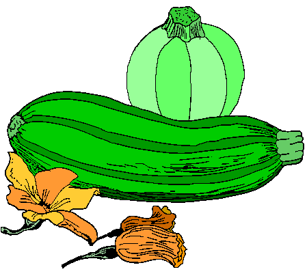 Кабачок рисунок для детей на утренник