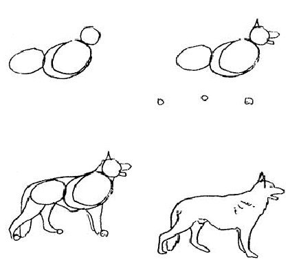 Рисование животных в движении