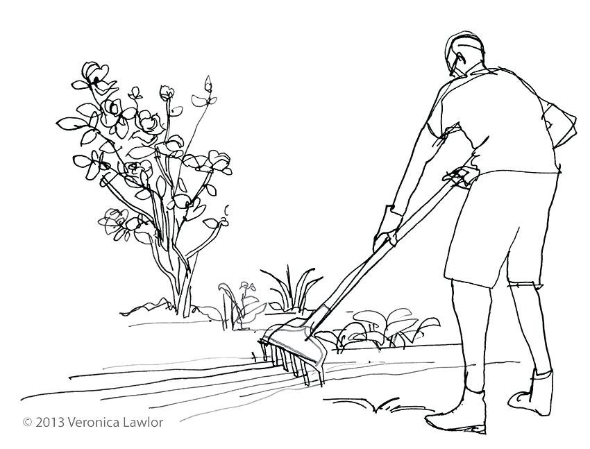 Как нарисовать огород легко