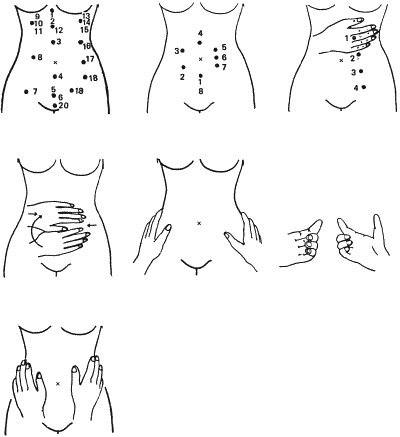 Рисунки для срисовки живот