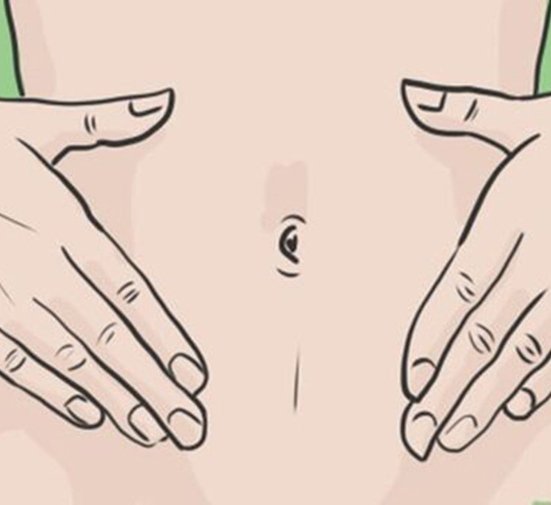 Женский живот вектор