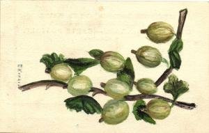 Крыжовник стилизация