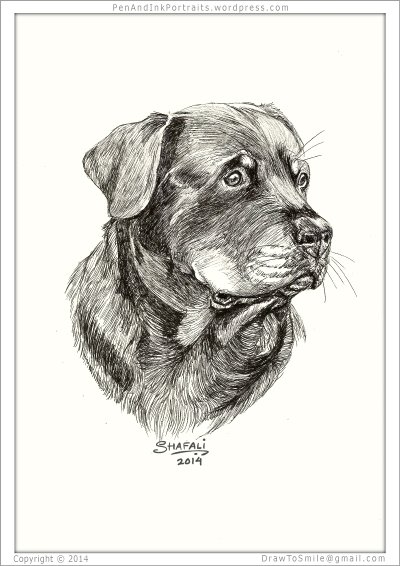 Такса Ink Pen drawing