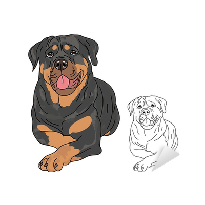 Ротвейлер рисунок
