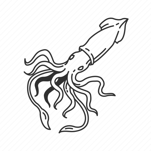 Кальмар Векторная Графика