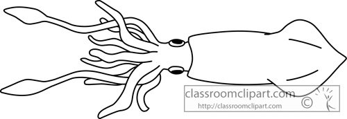 Раскраски для детей глубоководные кальмары