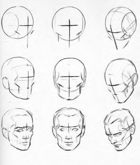 Поэтапный рисунок головы