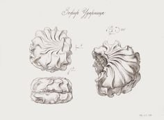 Зефир Графика