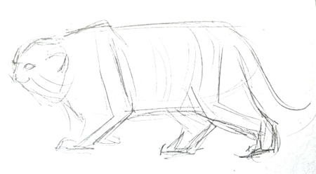 Манул рисунок поэтапно