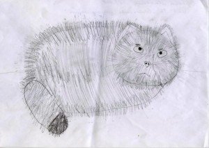 Нарисовать манула по этапам