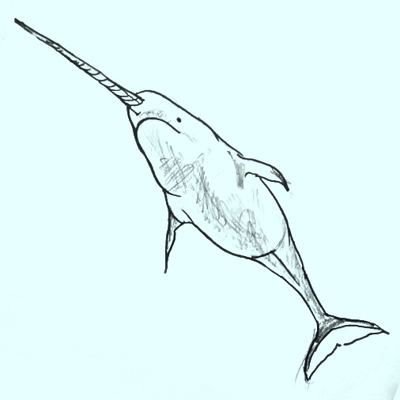 Дельфин поэтапное рисование