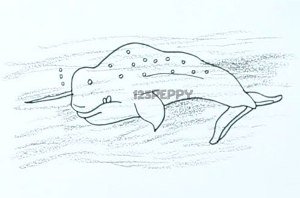 Нарвал рисунок карандашом и цветными карандашами