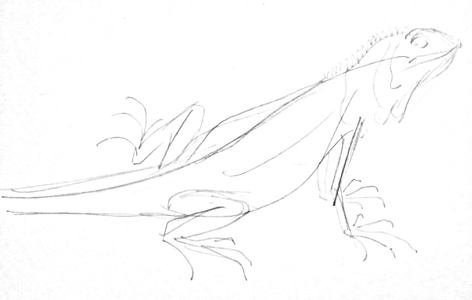 Рисуем игуану поэтапно