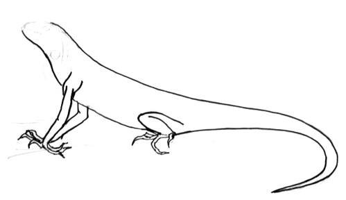 Игуана рисунок поэтапно