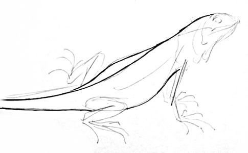 Игуана рисунок поэтапно