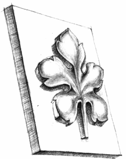 Розетка эскиз