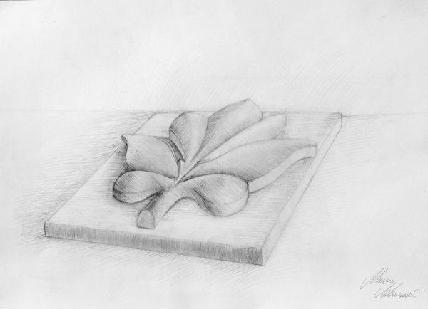 Гипсовая розетка в ракурсе