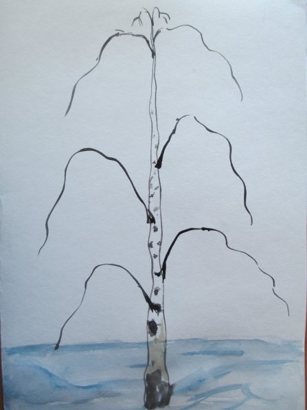 Рисование береза в подготовительной группе