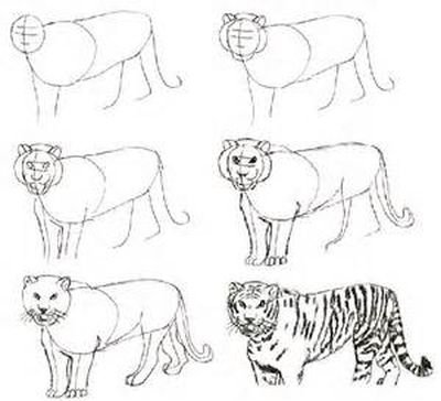 Нарисовать Шерхана поэтапно