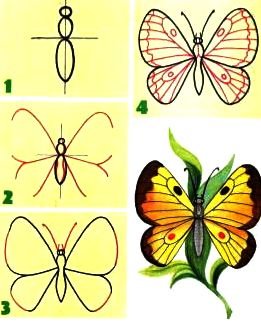 Уроки рисования бабочка