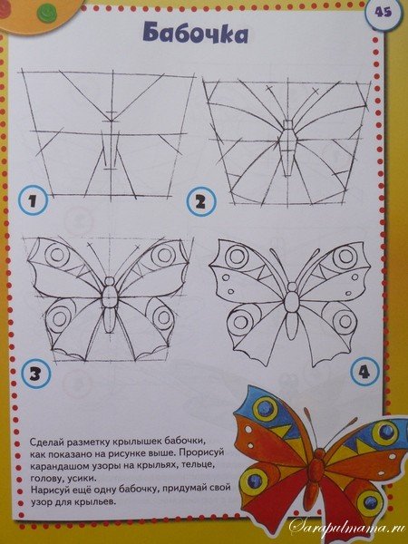 Построение в рисунке бабочки