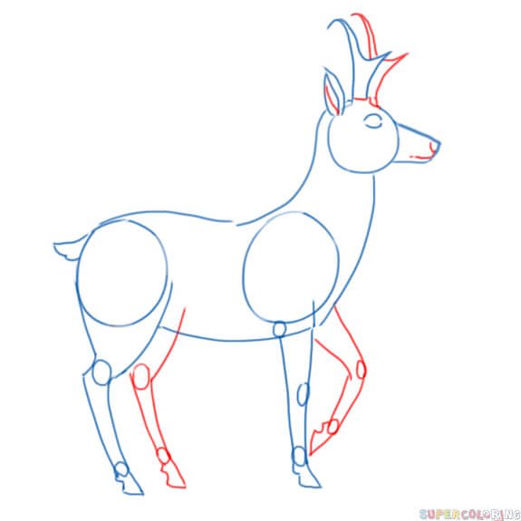 Рисование по этапно антилопа