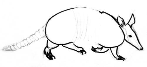 Нарисовать броненосца поэтапно