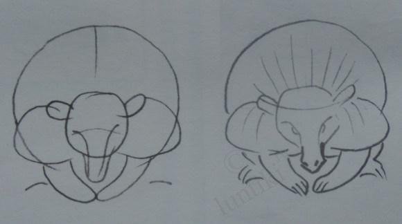 Броненосец раскраска