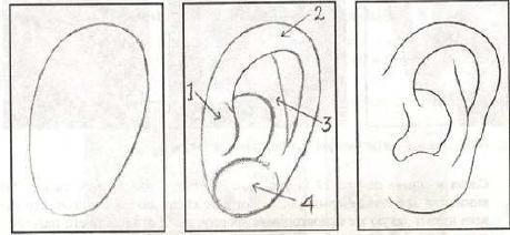 Необычные уши рисунок