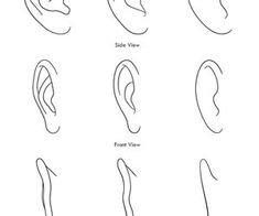 Поэтапное рисование ушей