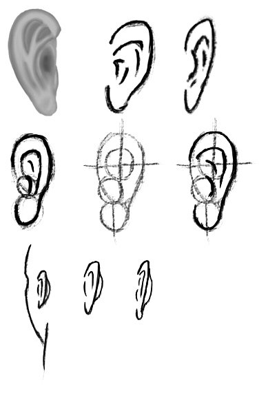 Как нарисовать ушки (69 фото)