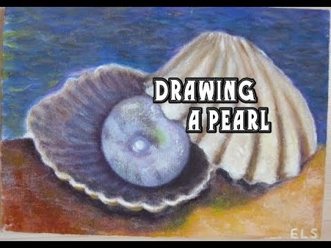 Жемчуг в раковине рисунок
