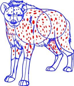 Гиена поэтапное рисование