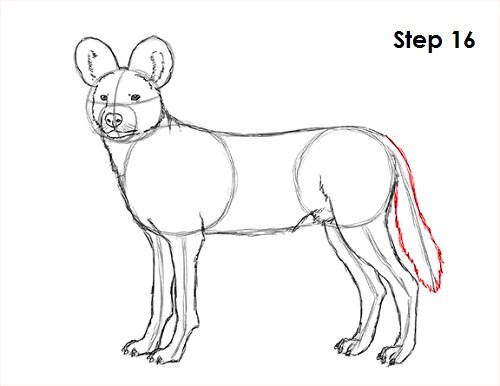 Как рисовать гиену поэтапно